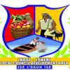 ikosi